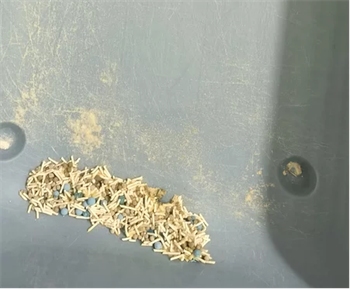 猫殿下银砖猫砂测评 猫殿下银砖猫砂测评