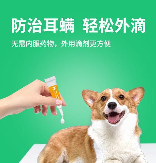 选择适合的狗用体外驱虫药物保护您的宠物健康（了解不同类型的狗用体外驱虫药物及其适应症）