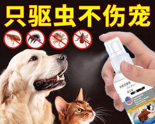 选择适合的狗用体外驱虫药物保护宠物健康
