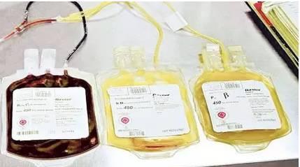 犬血浆的作用及其（探索犬血浆在医学领域的重要性与应用）