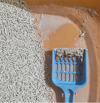 鲜御猫砂怎么样 鲜御猫砂怎么样