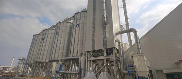 猫咪罐头测评 猫咪罐头测评