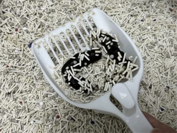 恋猫恋狗猫砂测评 恋猫恋狗猫砂测评