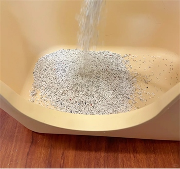 豆腐砂测评 豆腐砂测评