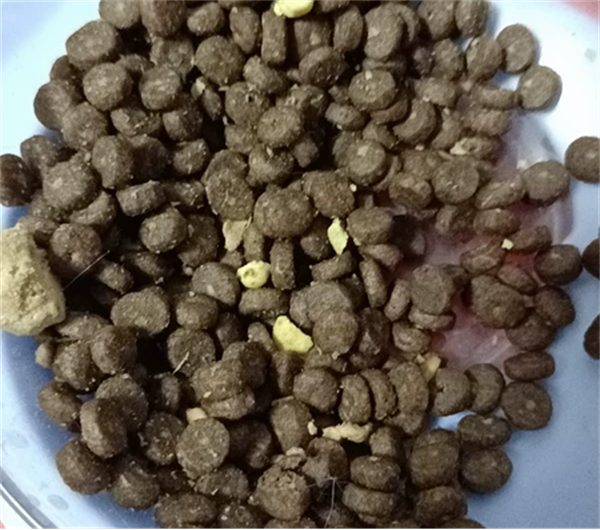 耐吉斯猫粮 耐吉斯猫粮