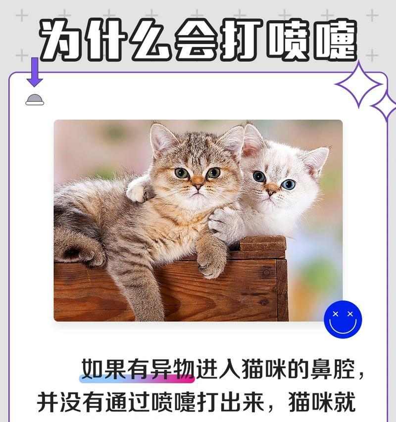 猫咪头痒的原因和护理方法 猫咪头痒的原因和护理方法