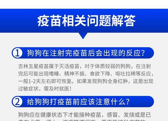 狗狗翻肠如何预防？必备疫苗知识全解析