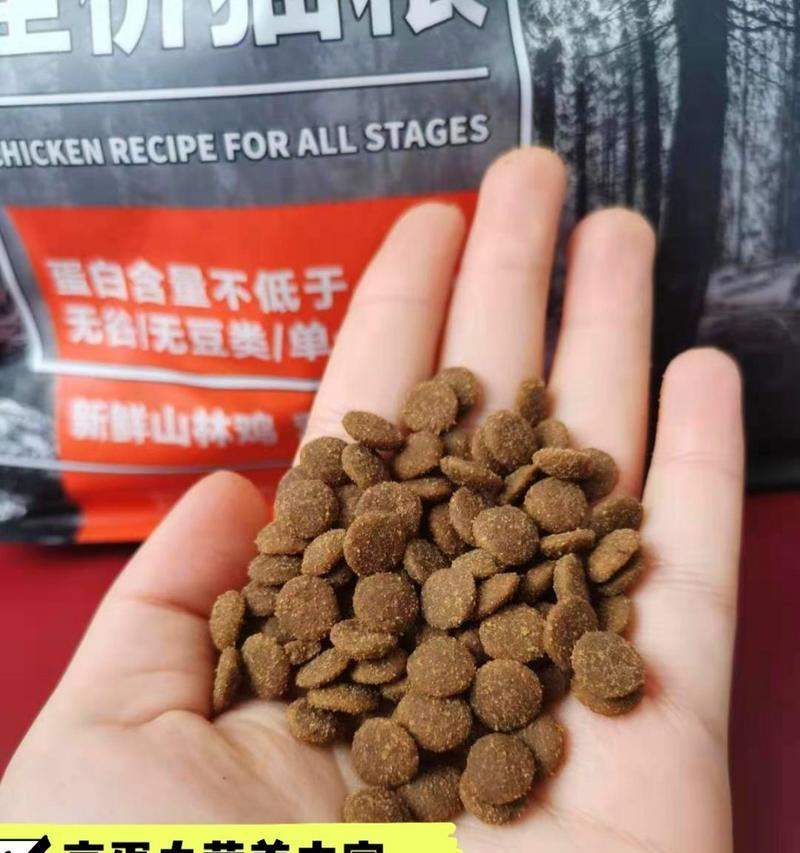 猫咪爆毛怎么办?饮食与护理全攻略 猫咪爆毛怎么办?饮食与护理全攻略