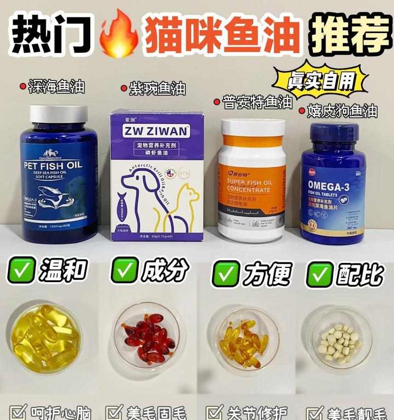 猫咪爆毛怎么办？饮食护理全指南