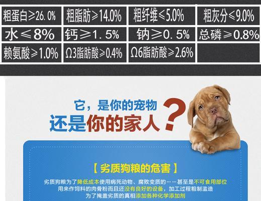 金毛犬美毛食谱与日常护理技巧