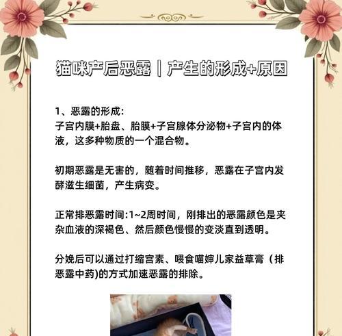 小猫产后流血正常情况与护理要点