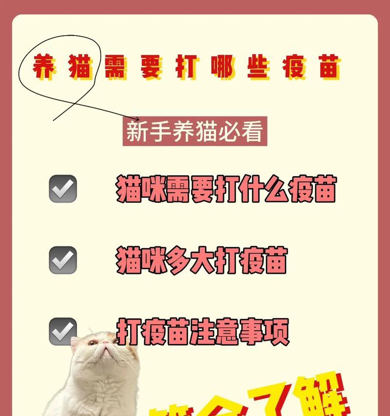 猫育苗时打针间隔及注意事项(科学养猫,合理打针——给爱猫注射疫苗的正确方法与注意事项) 猫育苗时打针间隔及注意事项(科学养猫,合理打针——给爱猫注射疫苗的正确方法与注意事项)