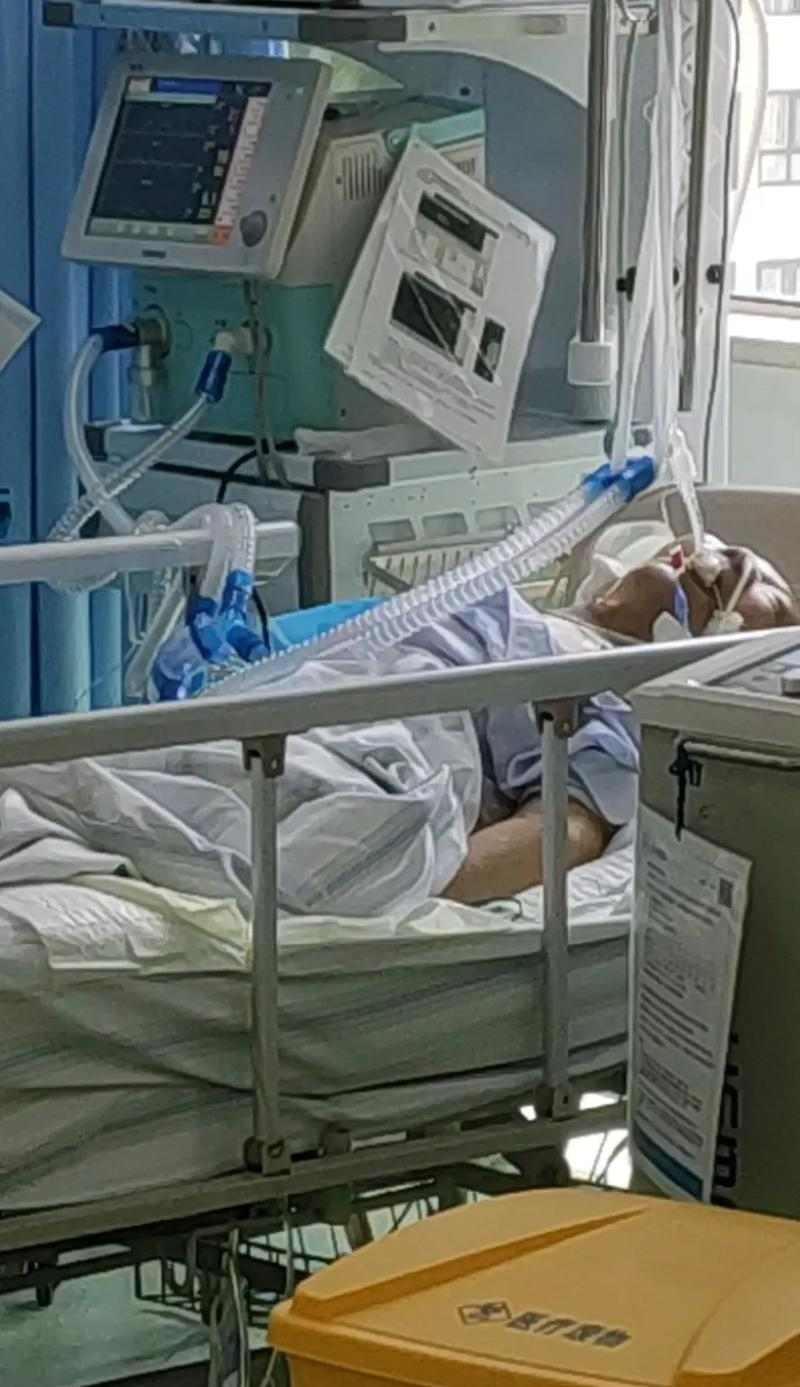 宠物生病治疗费用高，如何理性决定是否继续治疗