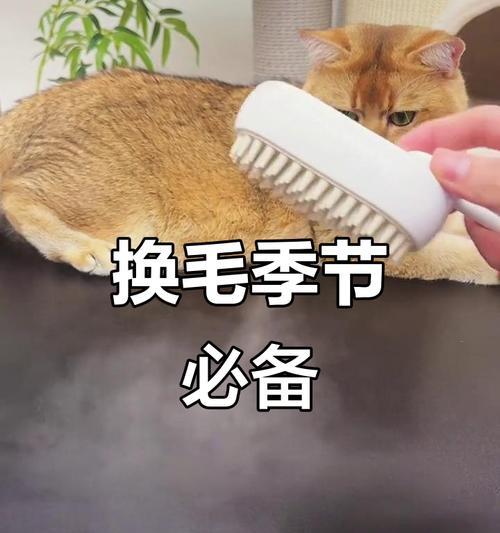 春季宠物换毛大作战（了解换毛的要注意事项，让宠物轻松度过春季）