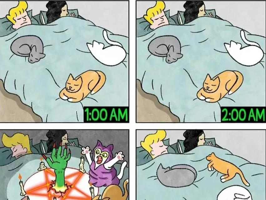 如何训练猫咪不上床(有效方法和关键技巧教你让猫咪不再在床上乱蹦) 如何训练猫咪不上床(有效方法和关键技巧教你让猫咪不再在床上乱蹦)