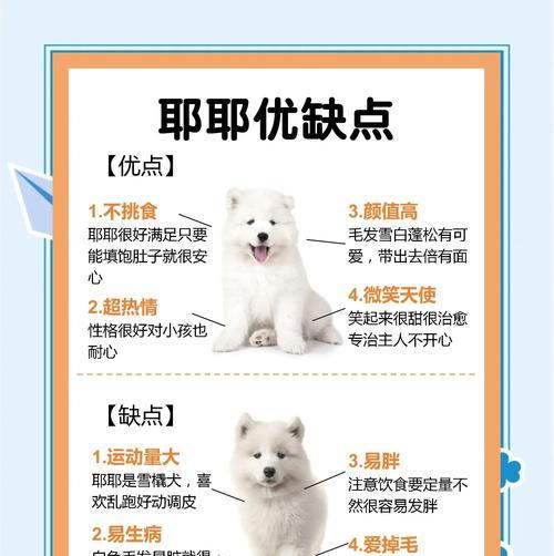 7个月萨摩多体外驱虫全攻略(为宠物的健康保驾护航!) 7个月萨摩多体外驱虫全攻略(为宠物的健康保驾护航!)