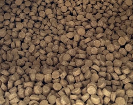 豆柴鲜肉烘焙猫粮测评:真的能“秒换粮,不软便”? 豆柴猫粮怎么样?