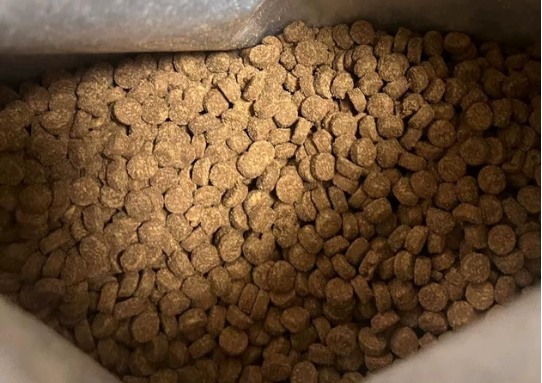 pidan烘焙猫粮测评:很好,但不适合我家猫 皮蛋烘焙猫粮