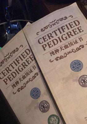 狗狗出生纸办理时间及流程详解(探寻办理狗狗出生纸的步骤、所需时间和注意事项) 狗狗出生纸办理时间及流程详解(探寻办理狗狗出生纸的步骤、所需时间和注意事项)