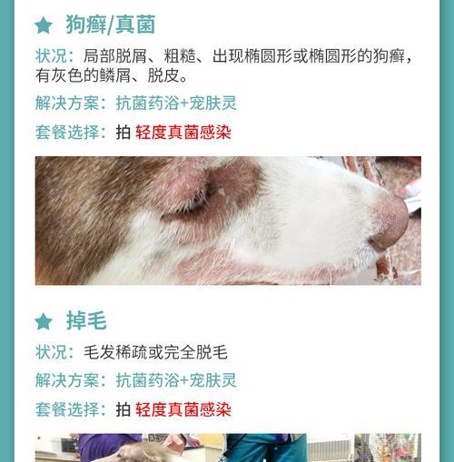 宠物药浴180一瓶(探索宠物药浴180的效果和用途,为你的宠物提供全方位的护理) 宠物药浴180一瓶(探索宠物药浴180的效果和用途,为你的宠物提供全方位的护理)