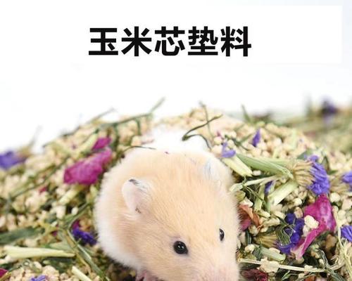 垫料的选择对养仓鼠的重要性(不同垫料的效果及如何选择合适的垫料) 垫料的选择对养仓鼠的重要性(不同垫料的效果及如何选择合适的垫料)