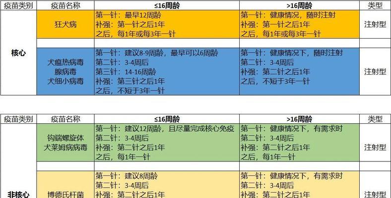 细小病毒感染康复后疫苗接种指南与时机选择