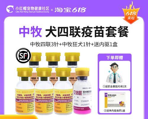 细小病毒感染康复后疫苗接种指南与时机选择