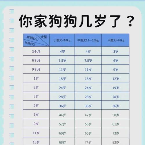 幼犬睡眠需求全解析，科学助眠促进健康成长