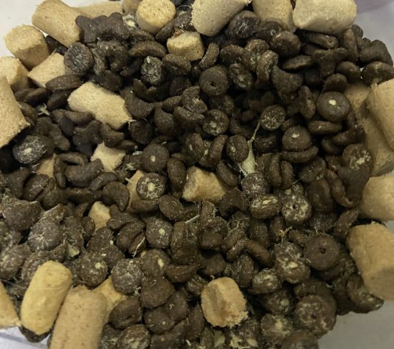 翡冷翠N40猫粮怎么样？