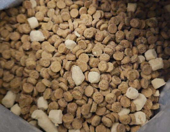 乐顿鲜肉烘焙猫粮