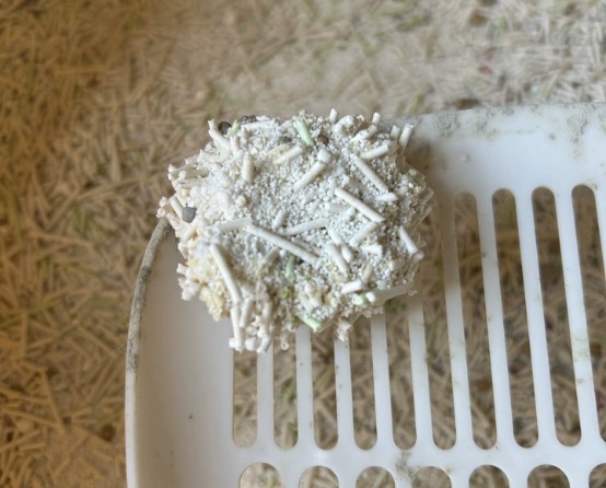 宠小奇植物木薯混合猫砂