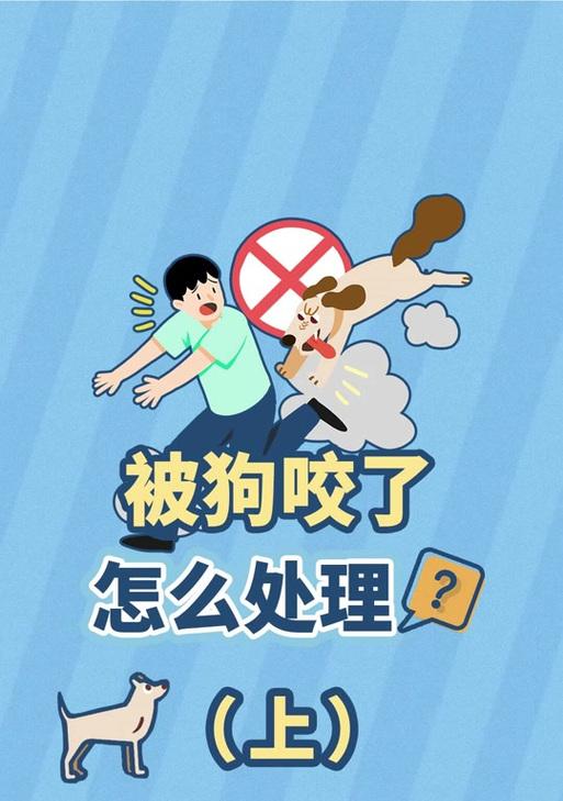 狗狗咬人攻击行为应对指南：纠正方法与安全措施