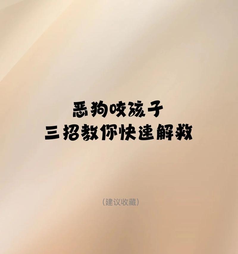 狗狗咬人攻击行为应对指南：纠正方法与安全措施