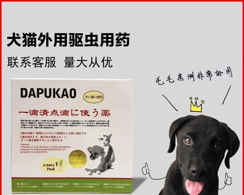猫体外驱虫药类型与使用指南，挑选适合的驱虫药
