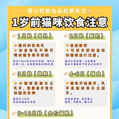幼猫饮食指南与奶粉喂养技巧