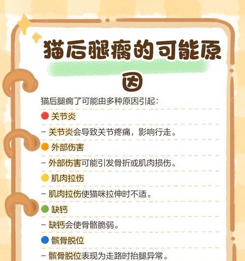 猫咪反摔技能的科学原理与应用