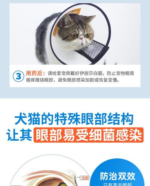 宠物眼药水保质期与使用安全指南 宠物眼药水保质期与使用安全指南