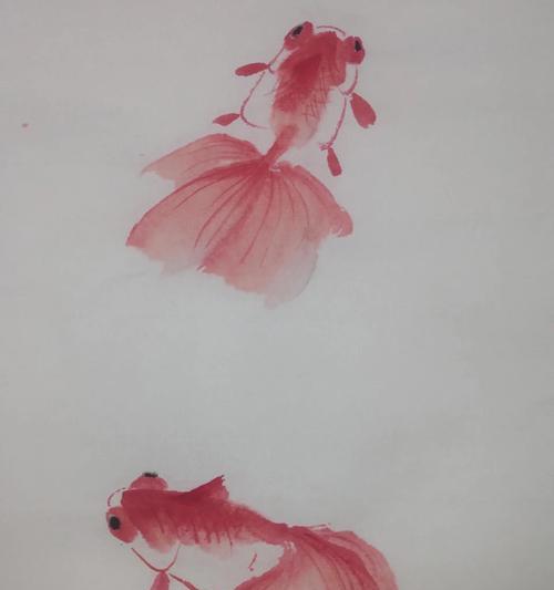 探索金鱼世界最美品种