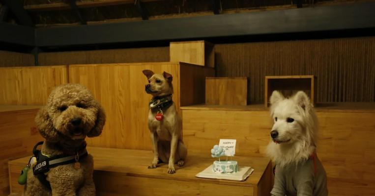 罗威纳犬与孩子相处的15大益处