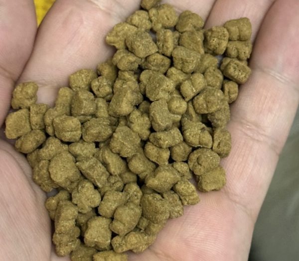 倍内菲至护鸡肉猫粮评测 肠胃护理与营养分析 倍内菲猫粮好不好