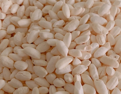 倍内菲至护鸡肉猫粮评测 肠胃护理与营养分析 膨化大米