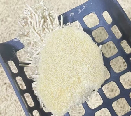 福丸豆腐木薯混合猫砂测评 栀子香性价比如何 福丸木薯猫砂