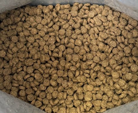 坦克小希轻烘焙猫粮美毛效果测评 坦克小希猫粮