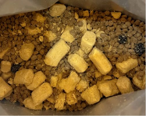 倍内菲主厨鸡鱼狗粮测评 营养丰富肠道友好 倍内菲主厨系列狗粮