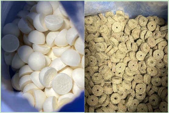 蓝氏超能奶盾猫粮测评 乳鸽配方高蛋白肠胃护理 蓝氏超能奶盾猫粮适口性好吗