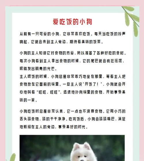 40天小狗每天吃一顿的饮食节律形成