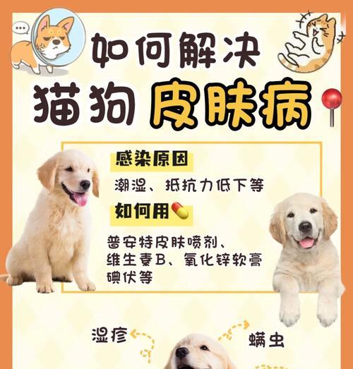 如何预防狗狗传染疾病