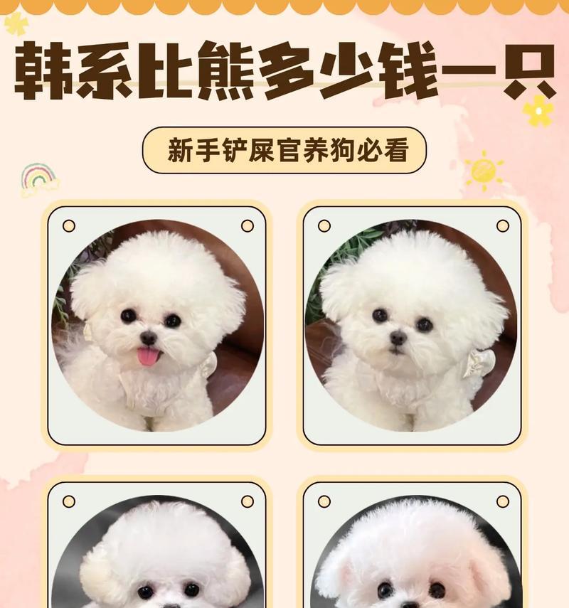 养一只狗的经济成本(详细了解养狗的初始支出和日常开销) 养一只狗的经济成本(详细了解养狗的初始支出和日常开销)