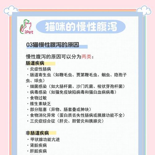 猫咪腹泻的原因及药物治疗注意事项(了解猫咪腹泻的原因,做好用药治疗) 猫咪腹泻的原因及药物治疗注意事项(了解猫咪腹泻的原因,做好用药治疗)