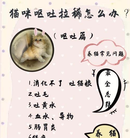 猫咪腹泻的原因及药物治疗注意事项(了解猫咪腹泻的原因,做好用药治疗) 猫咪腹泻的原因及药物治疗注意事项(了解猫咪腹泻的原因,做好用药治疗)